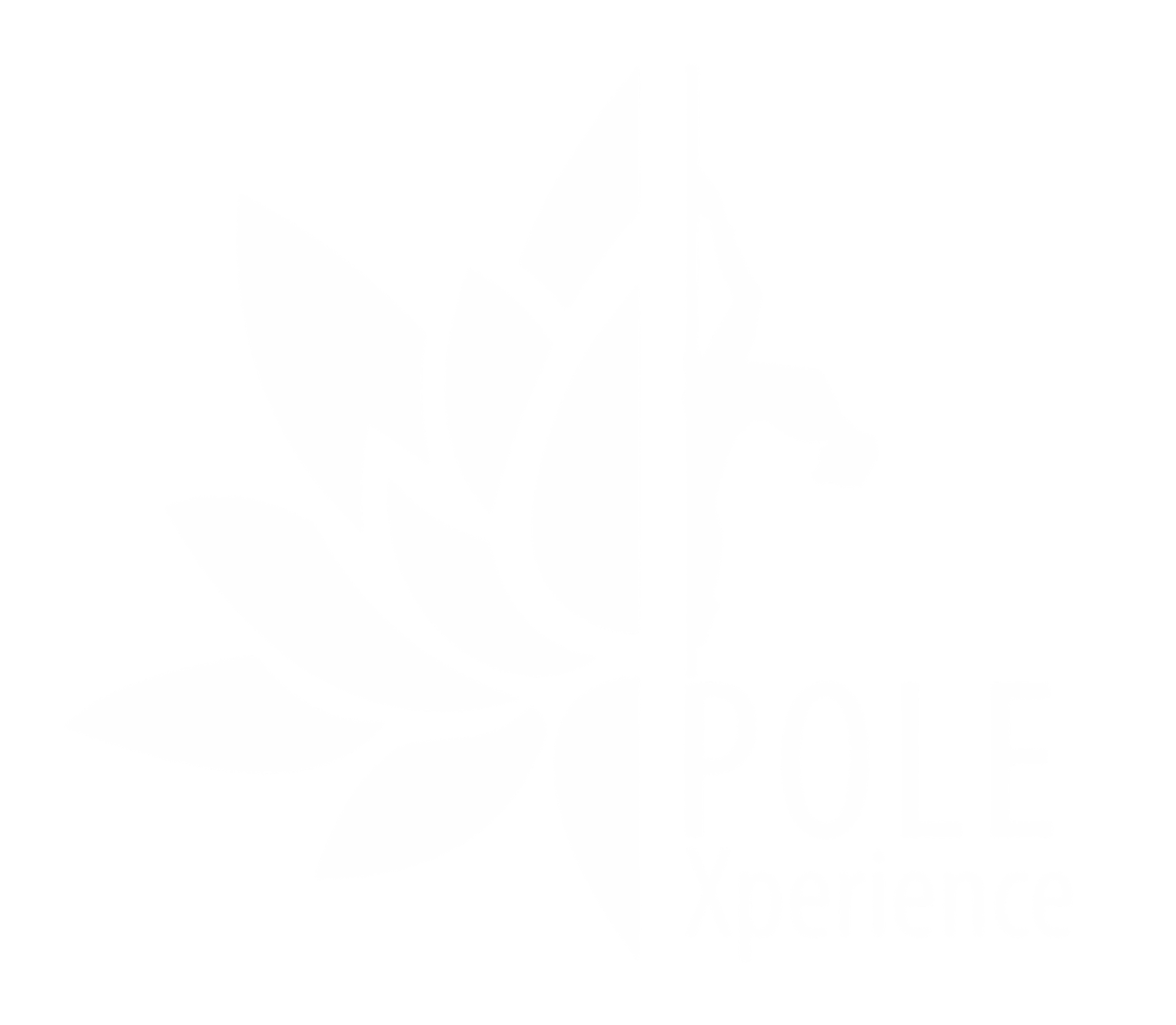 Pole Experience